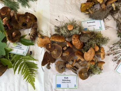 Foto des Albums: Viele Gäste beim Biosphäre-Apfelmarkt (2026) I Fotos: Martin Ferch