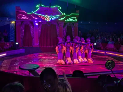 Foto des Albums: Im Zauber der Manege (die Vorstellungen)