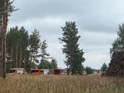 Foto des Albums: Ausbildungstag der Feuerwehren des Amtes Meyenburg