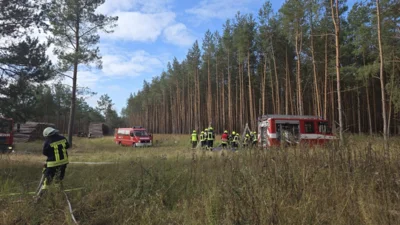 Foto des Albums: Ausbildungstag der Feuerwehren des Amtes Meyenburg