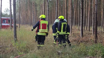 Foto des Albums: Ausbildungstag der Feuerwehren des Amtes Meyenburg