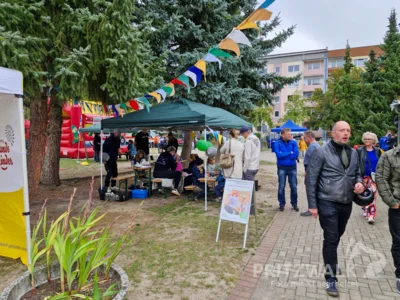 Foto des Albums: Abstimmung zum Bürgerhaushalt 2027 und Kinder-Familientag
