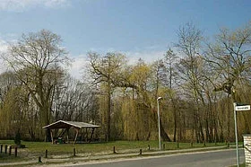 Vorschaubild der Galerie