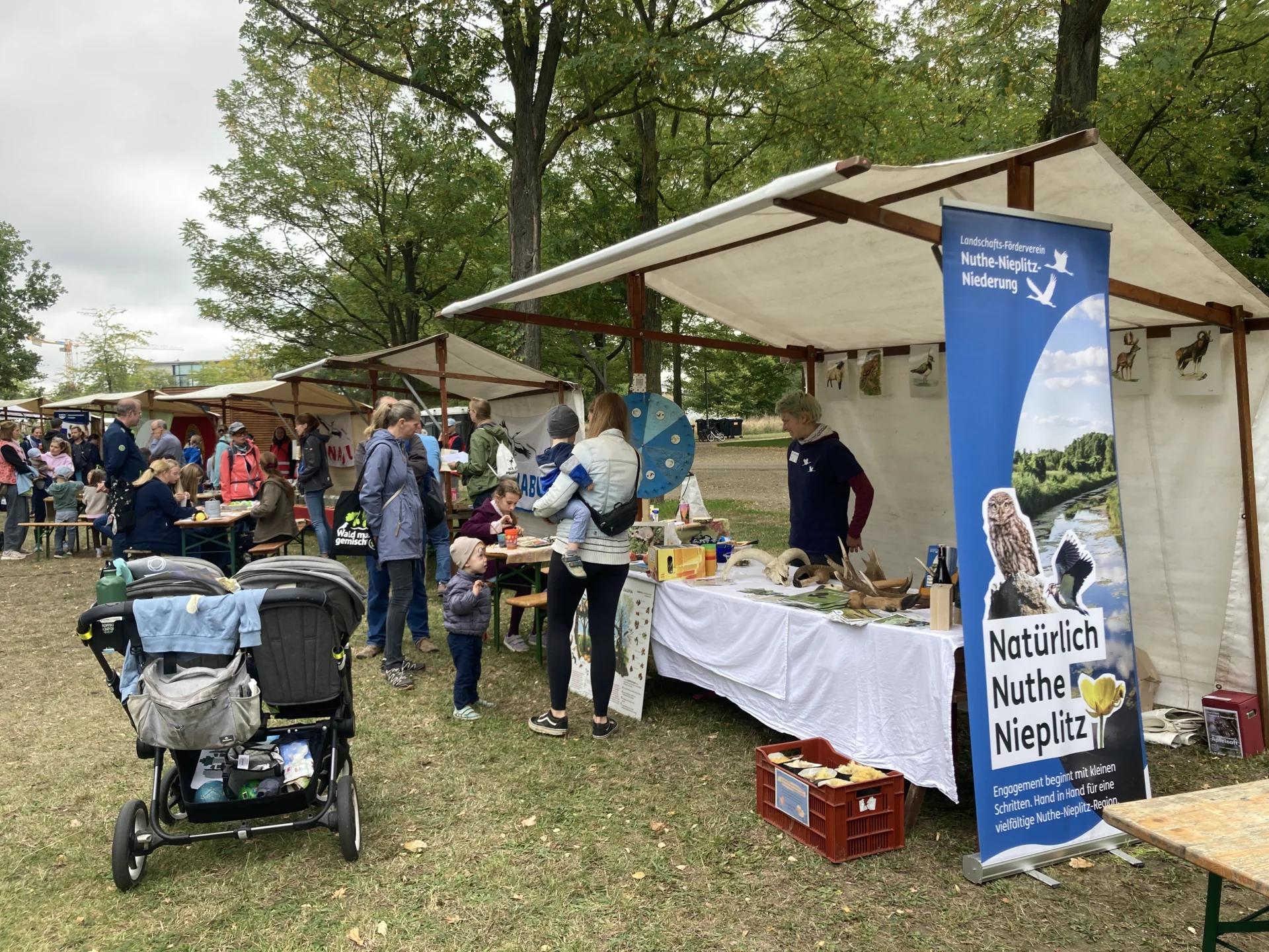 Bild: LFV-Stand beim Umweltfest © Landschafts-Förderverein Nuthe-Nieplitz-Niederung e.V./F. Timme
