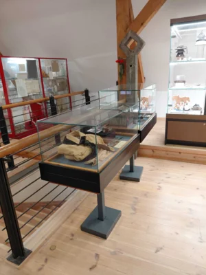 Foto des Albums: Ausstellung September 2026
