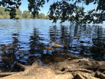 Foto des Albums: Rund Altwarmbüchener See