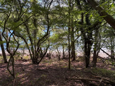 Foto des Albums: Rund Altwarmbüchener See