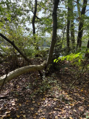 Foto des Albums: Rund Altwarmbüchener See