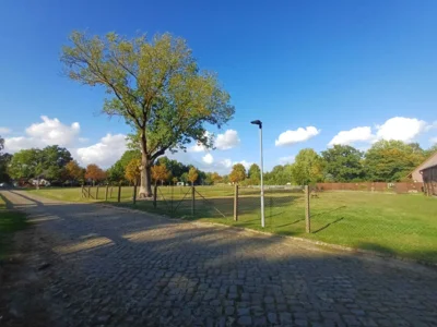 Foto des Albums: Heimatausschuss in Böckwitz 2026