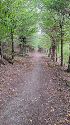 Foto des Albums: Rund um Kransberg