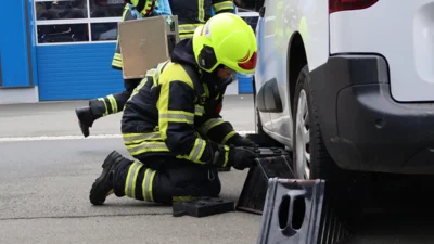 Foto des Albums: Leistungsprüfung 