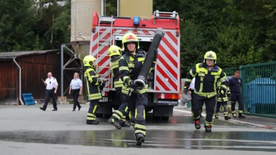 Foto des Albums: Leistungsprüfung 