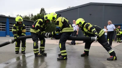Foto des Albums: Leistungsprüfung 