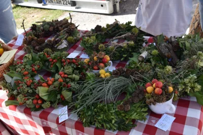 Foto des Albums: Herbstmarkt-Streifzug am Sonntag, 20. September 2026