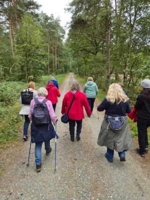 Foto des Albums: Der Wald und seine Funktionen