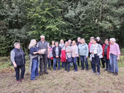 Foto des Albums: Der Wald und seine Funktionen