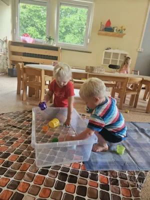 Foto des Albums: Rückblick August Mini-und Kleine Füchse