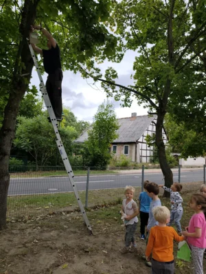 Foto des Albums: Rückblick August Große Füchse (22.​09.​2026)