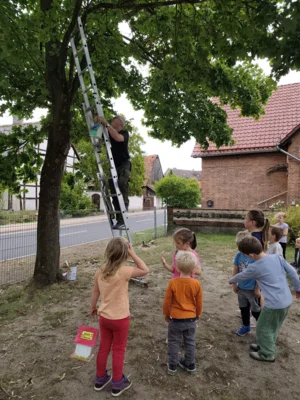 Foto des Albums: Rückblick August Große Füchse