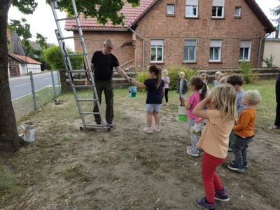 Foto des Albums: Rückblick August Große Füchse