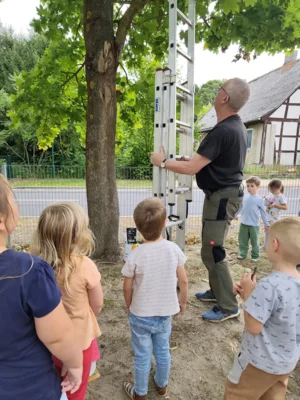 Foto des Albums: Rückblick August Große Füchse