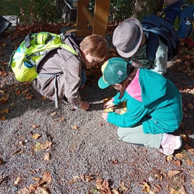 Foto des Albums: Herbstlicher Wandertag der 1. und 2. Klassen