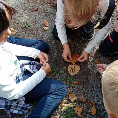 Foto des Albums: Herbstlicher Wandertag der 1. und 2. Klassen