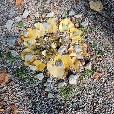 Foto des Albums: Herbstlicher Wandertag der 1. und 2. Klassen