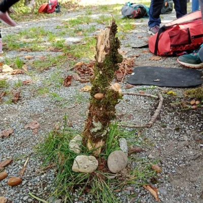 Foto des Albums: Herbstlicher Wandertag der 1. und 2. Klassen