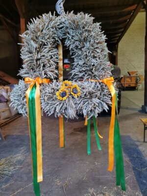 Foto des Albums: Erntekrone 2026