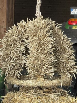 Foto des Albums: Erntekrone 2026