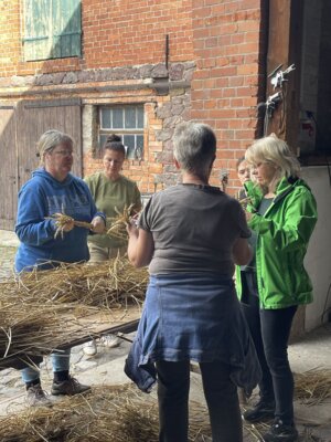 Foto des Albums: Erntekrone 2026