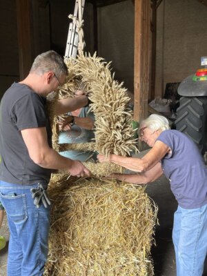 Foto des Albums: Erntekrone 2026