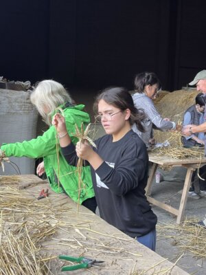 Foto des Albums: Erntekrone 2026