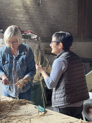 Foto des Albums: Erntekrone 2026