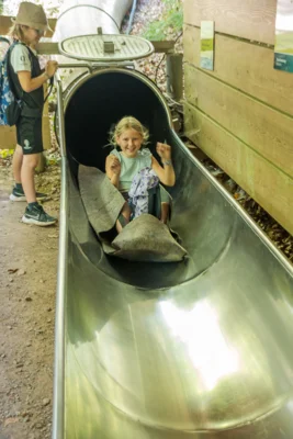 Foto des Albums: Sommerferienprogramm 2026
