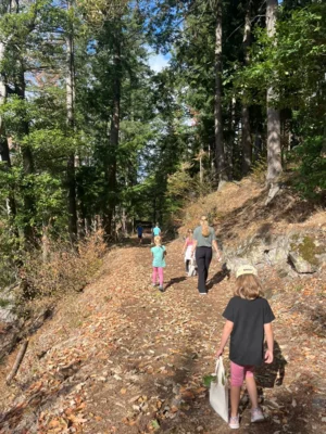 Foto des Albums: Sommerferienprogramm 2026