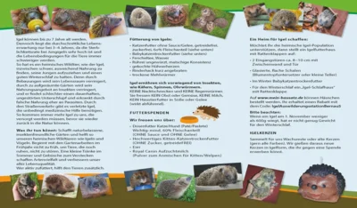 Foto des Albums: Besuch der Igel-Auswilderungsstation