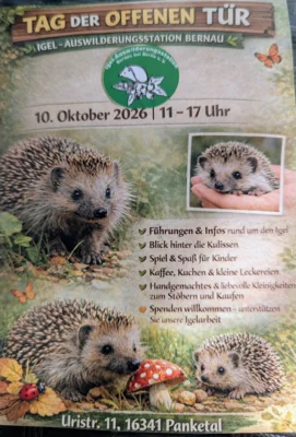 Foto des Albums: Besuch der Igel-Auswilderungsstation