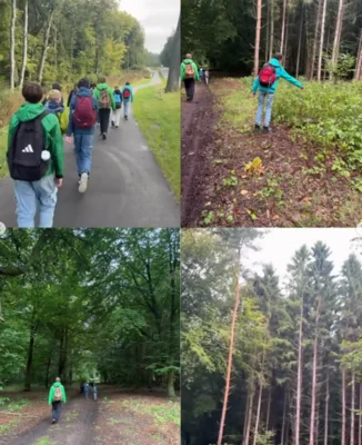 Foto des Albums: 🌳 Waldtage der 6. Klassen 🌳