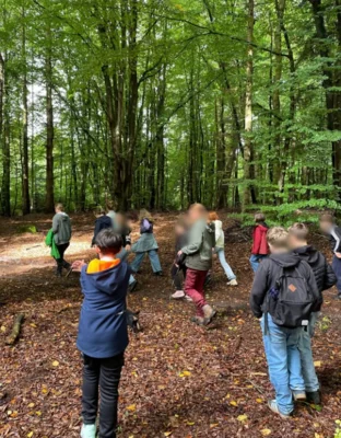 Foto des Albums: 🌳 Waldtage der 6. Klassen 🌳