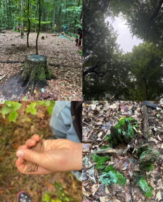 Foto des Albums: 🌳 Waldtage der 6. Klassen 🌳