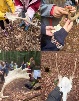 Foto des Albums: 🌳 Waldtage der 6. Klassen 🌳