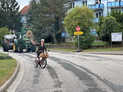 Foto des Albums: Bördefest 2026 Dahlenwarsleben