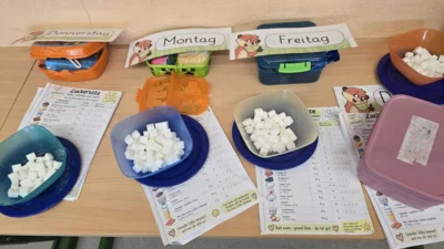Foto des Albums: Projekttag Gesunde Schule 24.09.2026