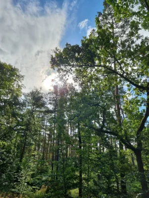 Natur genie&szlig;en 