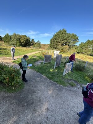 Foto des Albums: Orchesterwochenende Amrum 2026
