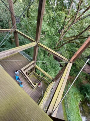 Foto des Albums: Waldstation