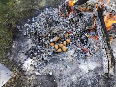 Foto des Albums: Kartoffelbraten 2026
