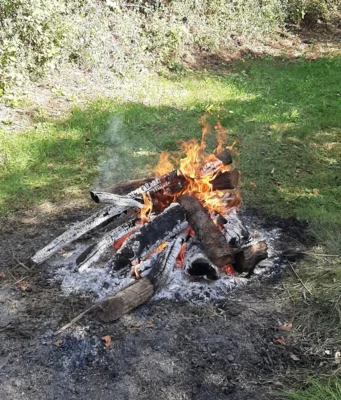 Foto des Albums: Kartoffelbraten 2026
